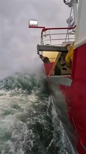 SeaLife and Sailor Life: Ocean Vibes from the Deep Blue Sea
