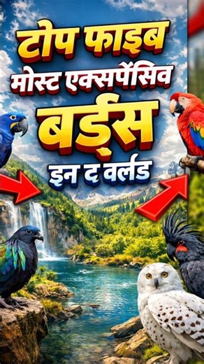 Top 5 #Most 😱Expensive Birds In The World# 💰🐦 |😰 You Won’t Believe# Their Price!😰💀😧😱😧☠️😧☠️