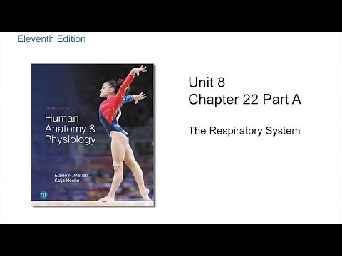 Anatomy and Physiology Chapter 22 Part A