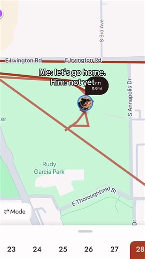 Real-Time GPS Tracking for Your Dog's Walks