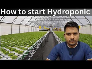 How to Start Hydroponic Farming in India | Full Business Guide