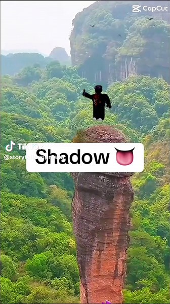 Shadow shadow shadow shadow shadow shadow #shadowhedgehog #shadowlover #shadowissocool