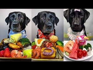 Luxury Dog Food Taste Test | Labrador Dogs Try Seafood Platters, Fruits, Veggies & Special Treats!