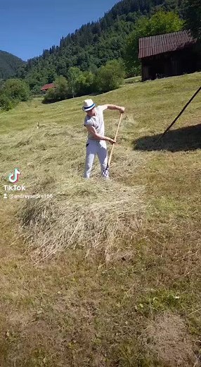 luca Alehandromarius pe TikTok