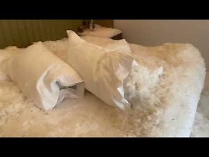 Pillow Fight 2: Fluffy aftermath