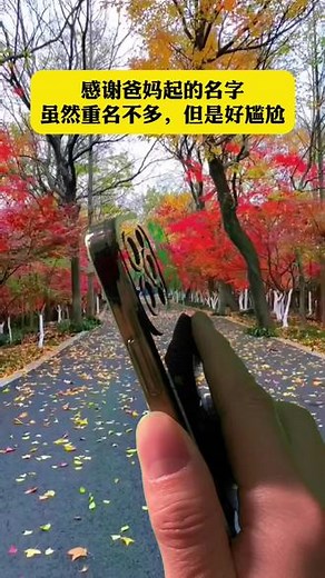 全国重名查询#测测全国多少人与你重名 #全国重名查询系统入口 #同名同姓
