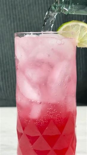 Southern Living on Instagram: "Move over, poinsettias! This year’s must-have holiday drink honors another seasonal bloom. A Christmas cactus is a thing of beauty in the cold, gray days of winter, so we dreamed up a fun, fizzy drink inspired by those beloved plants to make your parties even more festive. Get our Christmas Cactus Cocktail Recipe at the link in our profile! 🌸"