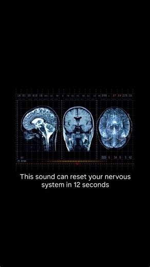 Desi Therapyy on Instagram: "Your nervous system responds to frequency before logic. Every thought, emotion, and body sensation is influenced by the speed of electrical activity in your brain—also called brainwave frequency. These frequencies shape whether your body feels safe, alert, anxious, or relaxed. Beta (13–30 Hz) This is the thinking and doing state. Beta helps you focus, plan, and problem-solve. But when stress, trauma, or overstimulation are present, beta becomes overactive. The body s