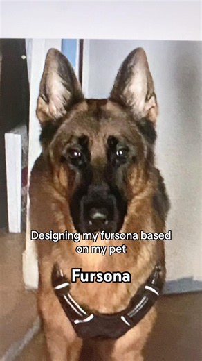 Making my Fursona based on my pet