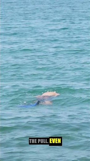 How to Escape a Rip Current Safely