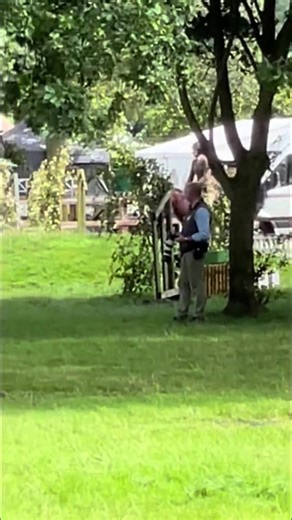 I miss jumping this boy in the ring😍 bring on summer☀️