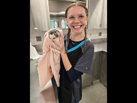 Vet Tech Week 2025