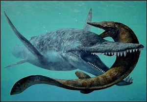 Brachauchenius - Alchetron, The Free Social Encyclopedia