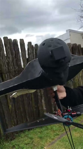 Wingsuit + Rc plane #rcplane #radiocontrol #wingsuit