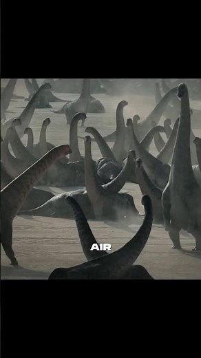 How big were sauropods?