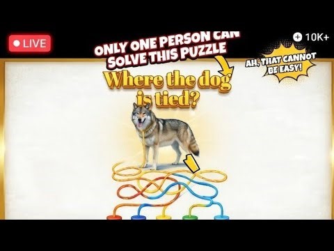 only can one person solve this puzzle