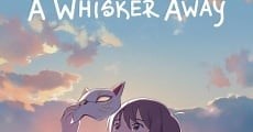 Amor de gata (2020)  - Ver Película Completa en Español / Castellano - FULLTV