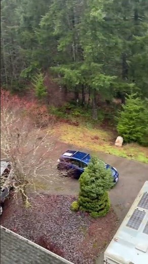 Starlink Install in Olympia, WA