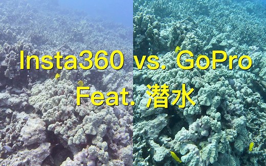 Insta360和Gopro对比 feat.潜水