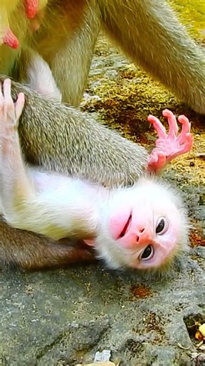 Relaxing Healing Stress, Anxiety and Depressive States, Heal Mind, Body and soul