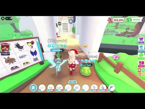 le marché de Noël + TORTUE RF!!! - ep 19 S02 - Mes maisons - Adopt Me - #roblox