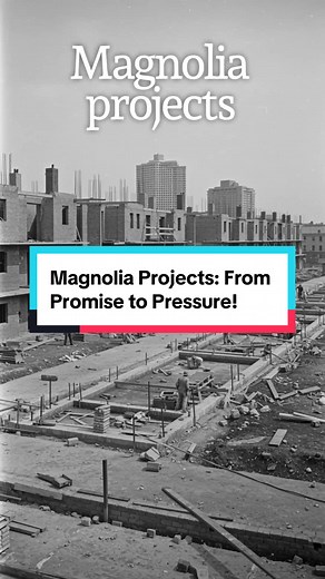 Magnolia Projects: From Promise to Pressure! We explore the complex history of the Magnolia Projects in New Orleans, tracing its journey from a hopeful housing development to a challenging community that became a crucible for resilience and hip-hop culture. #MagnoliaProjects #NewOrleansHistory #UrbanHousing #SocialJustice #HipHopOrigins