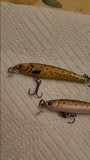 Leland's Lures Trout Magnet Crank: Does it Catch Trout? #fishing #troutfishing #troutreel #troutlure
