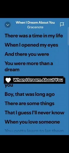 When I Dream About You by Gracenote #lyrics #spotify #fullsong #fulllyrics #fyp