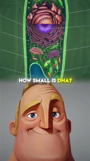 How Small is DNA | A Journey to Its Real Size