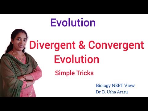 Divergent & Convergent Evolution | Class 12 | NEET | Biology NEET View