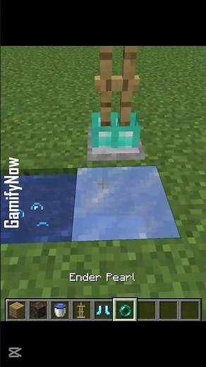 Ender Perl Expert Shares NEW Secret Trick For Single Player