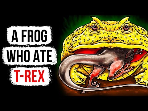 This Frog's Bite Is Stronger than a Wolf, Watch Out!