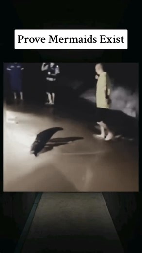 Universal View71 | post from fan account @universalview7 a 28-second compilation video highlighting actress Mia Goth’s iconic screams across three recent... | Instagram