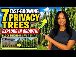 7 Fast Growing Privacy Trees That EXPLODE in Growth 🌲🔥 Block Neighbors FAST!!!!!
