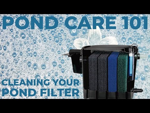 Cleaning Your Biological Pond Filter - Pond Care 101