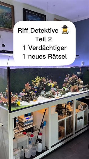 Mein Meerwasseraquarium wird immer wärmer – Riff-Detektive Teil 2 🔎 Heizstab, Pumpen und Licht entlastet, die UV-Lampen sind eine heiße Spur. UV an oder aus? Und wer heizt nachts im Dunkeln? Schreib's mir in die Kommentare! Folge mir für Teil 3! #meerwasseraquarium #aquarium #riffaquarium #aquaristik #rätsel