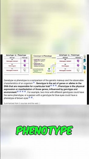 Dog Genetics 101: Decoding Puppy Colors in a Litter! #shorts