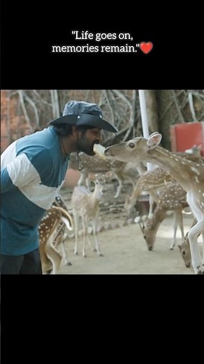 96 Songs | The Life of Ram WhatsappStatus| Vijay Sethupathi Trisha | Govind Vasantha | C. Prem Kumar
