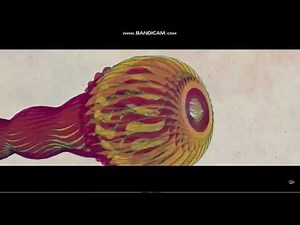 Movie Studio Logos 13