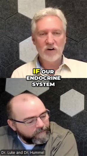 Your body's orchestra: The endocrine system. Ever wonder which hormones are conducting the chaos? Let's find out. #EndocrineSystem #Hormones #BodyScience #HealthFacts #LearnOnTikTok