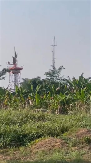 Aviation Pulse NG ✈ | Nigeria Aviation News on Instagram: "🛰️ ATC APPROACH RADAR | AVIATION SAFETY EXPLAINED One of the most critical structures around any airport is the ATC Approach Radar System. This radar allows air traffic controllers to monitor, track, and guide aircraft during the approach and landing phase the most sensitive part of any flight. Using a rotating antenna mounted on a high tower, the system provides 360° surveillance of the terminal airspace, ensuring proper separation, ac