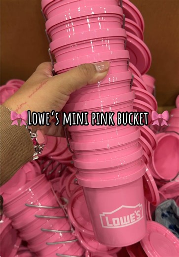 How cute are these? 💖 @Lowe’s #fyp #lowes #pinkaesthetic #girlytok #girlything