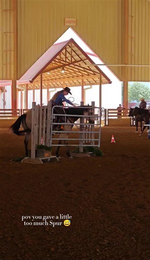 okay I already know what happened here 😅 I did give him a little too much Spur on the gate just so he would go straight over and not forward any. He didn't hesitate to let me know 😆 all jokes aside the rest of his runs and this one were on point 👌 🐴🩵☁️✌️ #lazybluesky #showhorselife #ithappens #shorts #funny