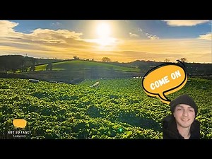 Calling suckler cows for breakfast in stunning Irish countryside #farming #sheepdog #ireland