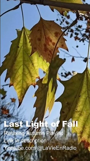 Last Light of Fall – Autumn Instrumental Music [Shorts]