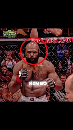 Kimbo Slice vs Houston Alexander 😳 The Brutal Fight That Shocked MMA Fans