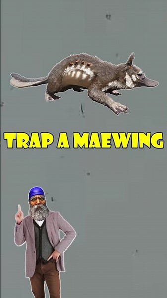 Ark Maewing