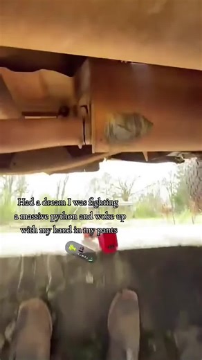 hy bubba#datruth #fyp #likedisshiup💁🏽‍♀️ #pimpinainteasy @334aidan @850_Gavin @fellowpirate643 @Johndavis64