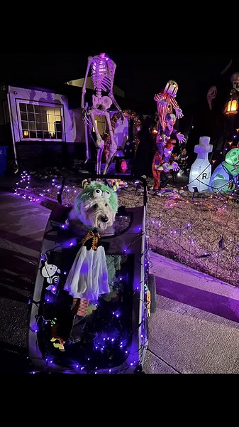 Maya the lil monster 💕 #spooky #spookyhalloween #halloweenlook #doghalloweencostume #happyhalloween #thisishalloween #dogcostumes