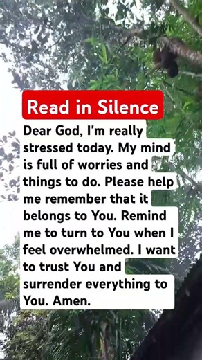 Feeling Stressed? Read This Prayer in Silence 🌿